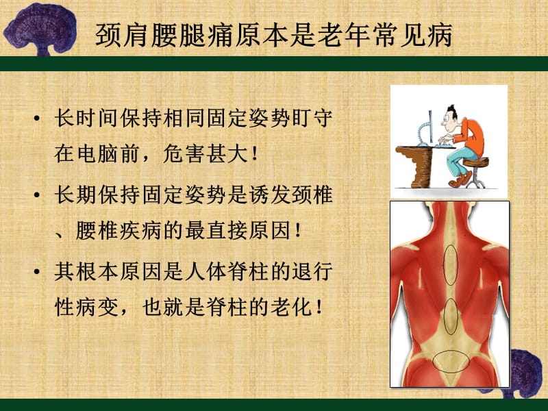 颈肩腰腿痛的防治与自我保健.ppt_第2页