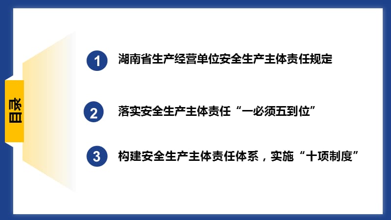 湖南省生产经营单位安全生产主体责任规定.ppt_第2页
