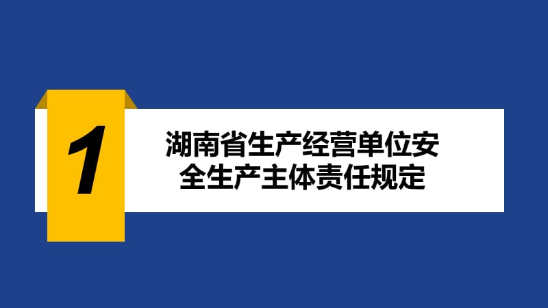 湖南省生产经营单位安全生产主体责任规定.ppt_第3页