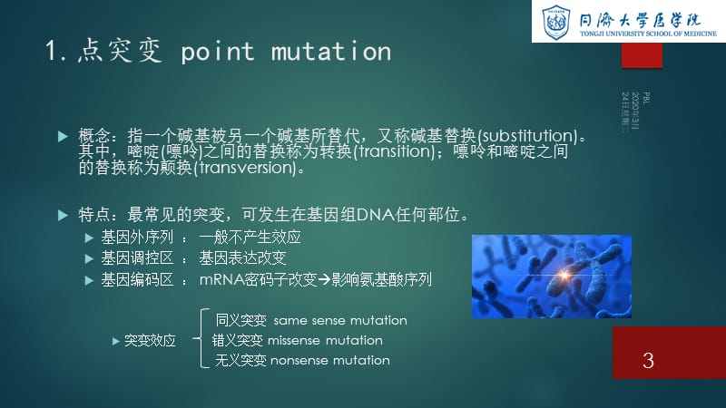 突变类型及生化基础.ppt_第3页