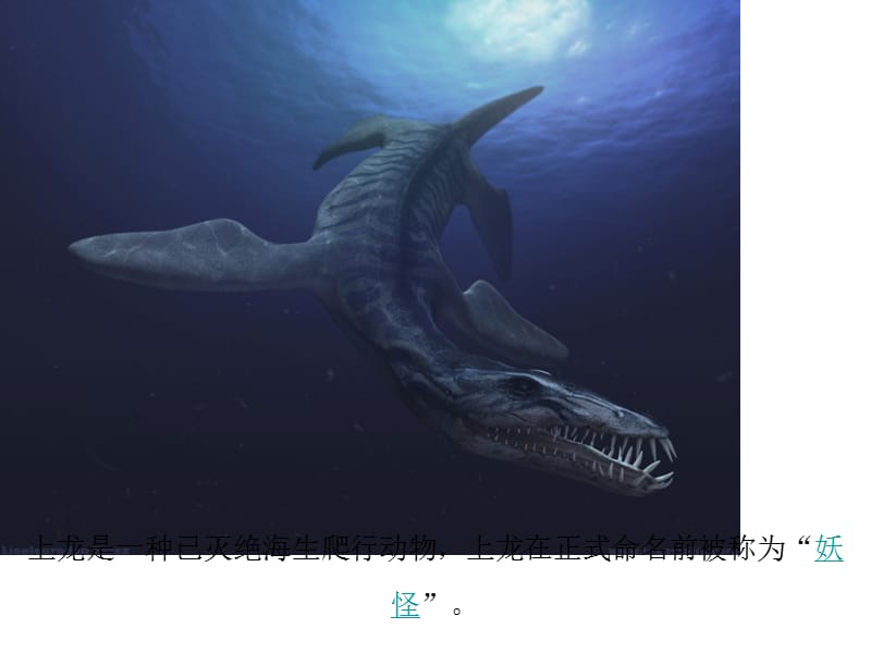 我画的海洋怪兽美术课件.ppt_第3页