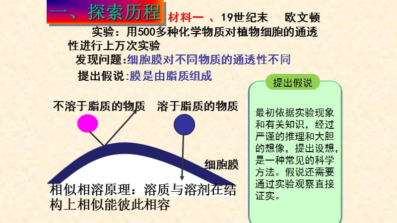 高中生物人教版必修一第四章第二节.ppt_第3页