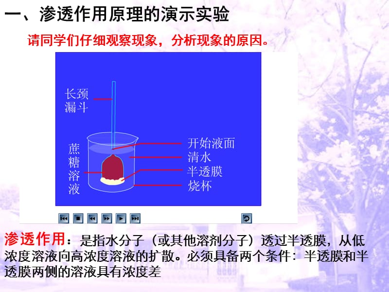 植物细胞的吸水和失水课件.ppt_第2页