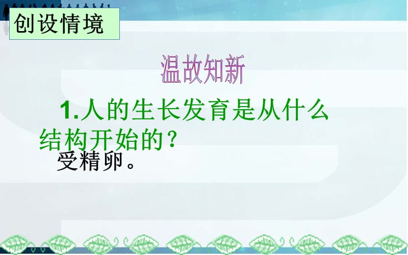 植物体的结构层次-课件.ppt_第2页