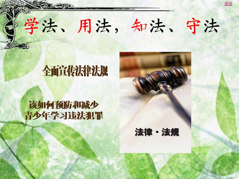 小学生宪法学习课件.ppt_第2页