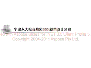 宁波永大投资集团组织结构设计预案(ppt37).ppt