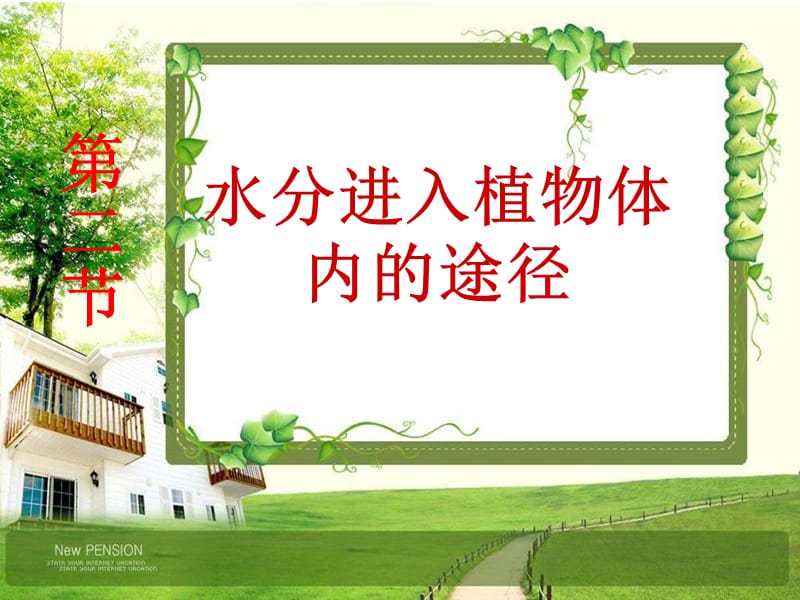 水分进入植物体的途径.ppt_第1页