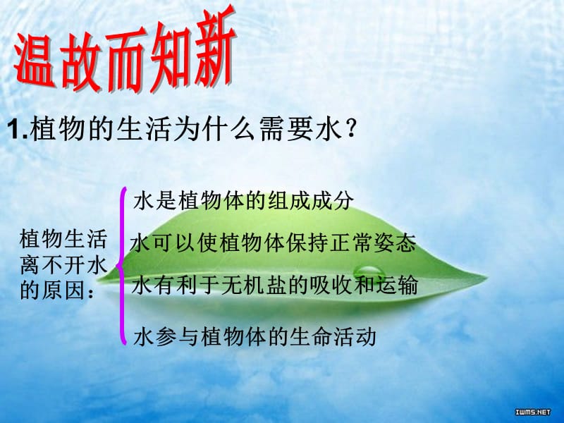 水分进入植物体的途径.ppt_第2页