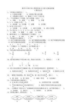 六年級(jí)下冊(cè)《數(shù)與代數(shù)》選擇題.doc