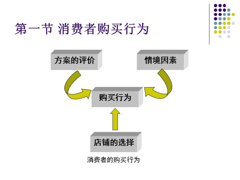 消费者的购买行为和购后过程.ppt_第3页