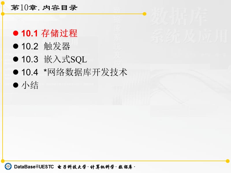 电子科技大学数据库系统10章数据库开发技术.ppt_第2页