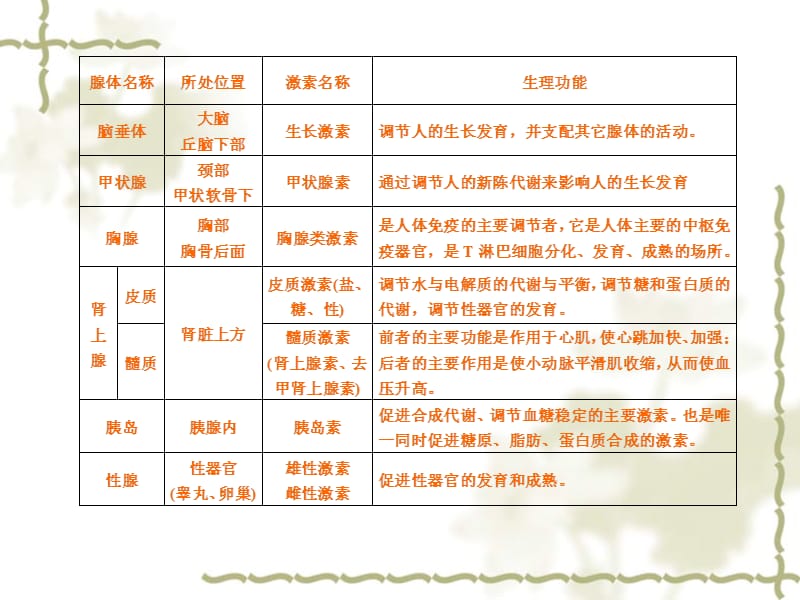 学前儿童生理解剖特点及卫生保健.ppt_第3页