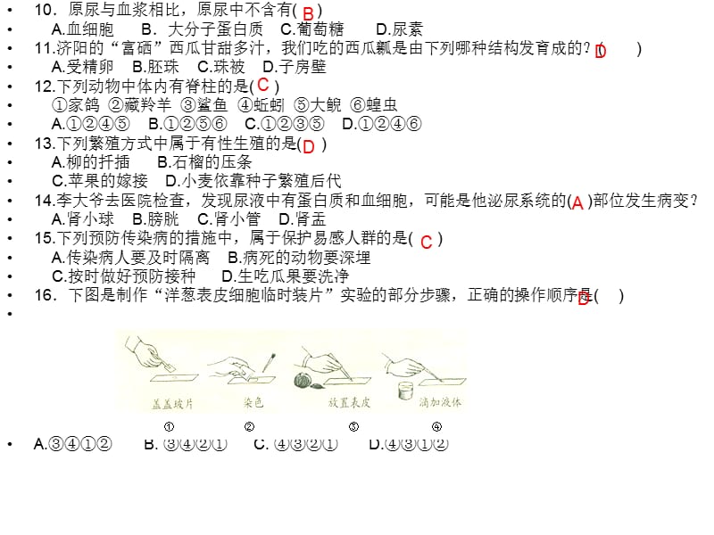 济南版初中生物总复习讲评课.ppt_第3页