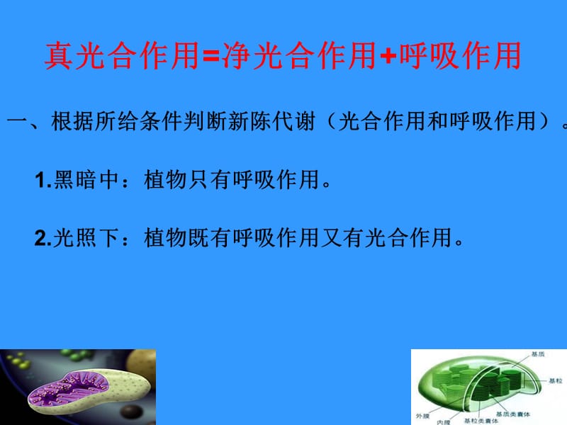 生物微课课件(真光合作用与净光合作用的辨析).ppt_第2页