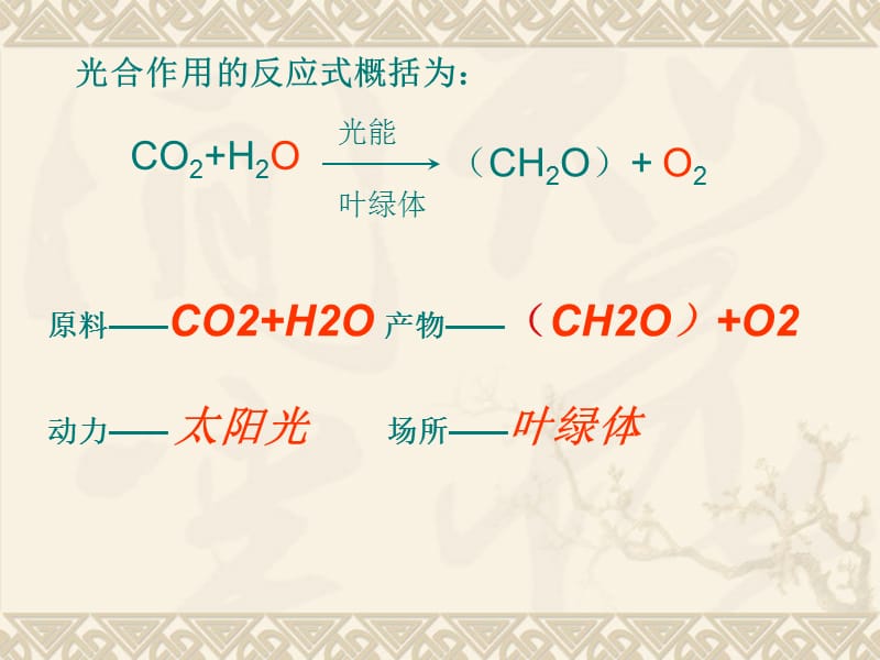 植物光合作用过程中的能量转换.ppt_第3页