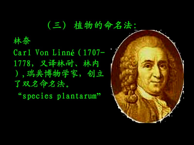 植物细胞的形态结构.ppt_第2页