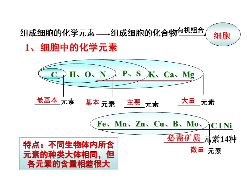 时细胞中的元素和化合物细胞中的无机物.ppt_第3页