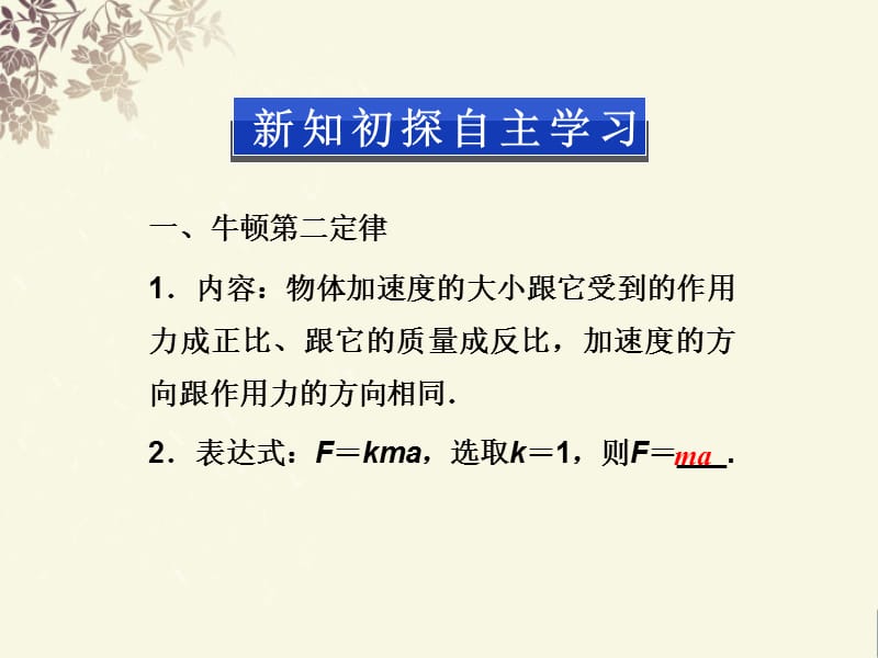 牛顿第二定律课件-丁新.ppt_第3页