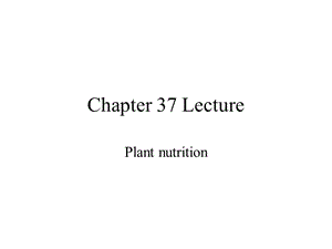 植物营养物质plantnutrition.ppt