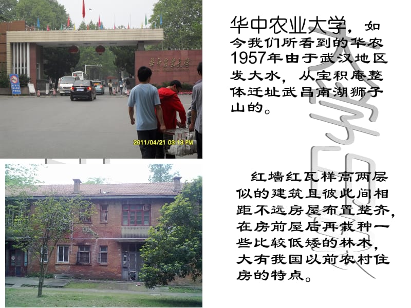 武汉地区大学校园环境景观设计专题研究.ppt_第3页