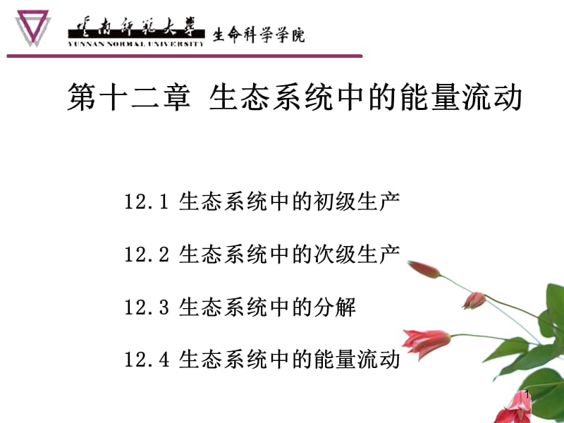 生态系统中的能量流动.p.ppt_第1页