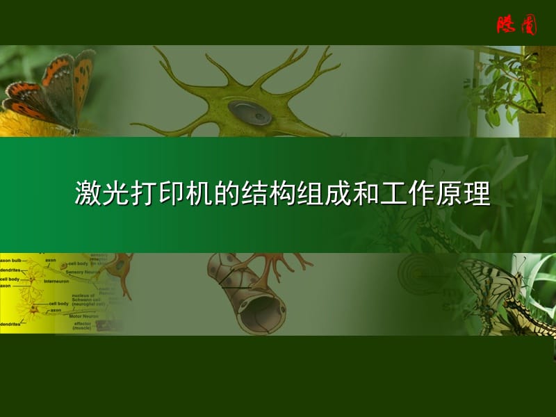 激光打印机的结构组成和工作原理.ppt_第1页