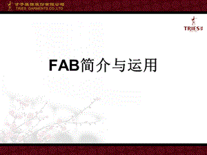 服裝品牌FAB簡(jiǎn)介與運(yùn)用.ppt