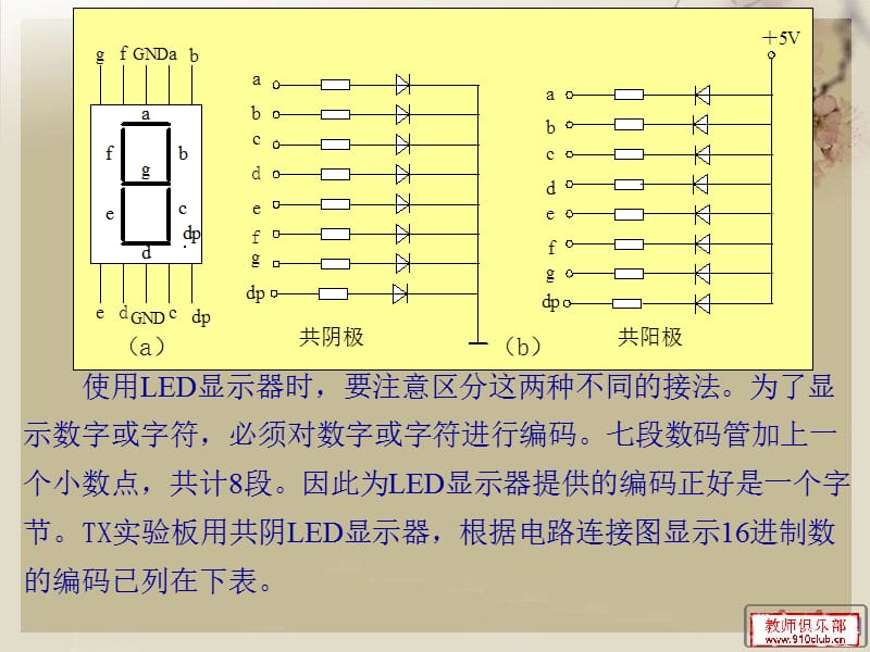 数码管显示及定时器和中断应用.ppt_第3页