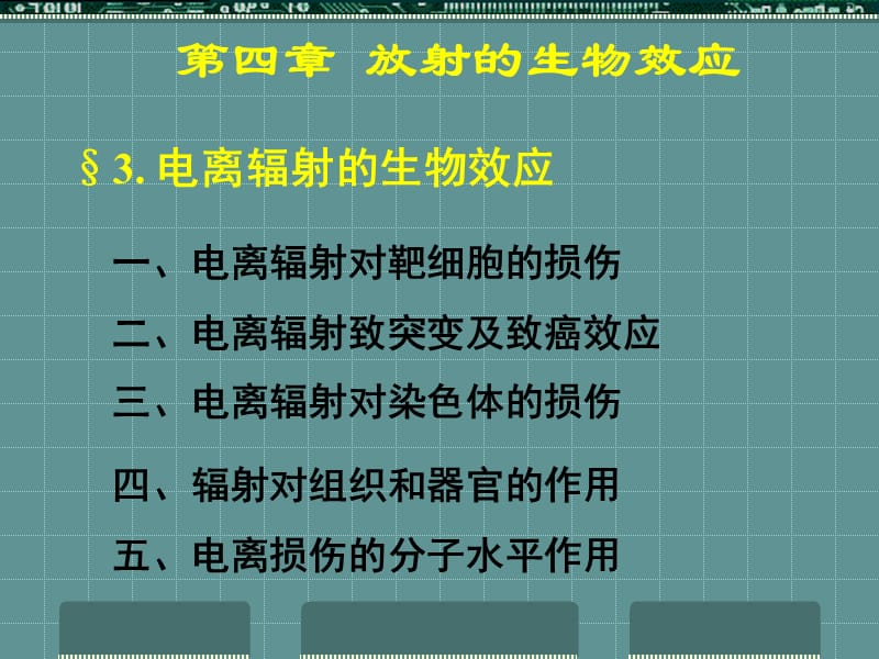 放射的生物效应电离辐射的生物效应.ppt_第1页