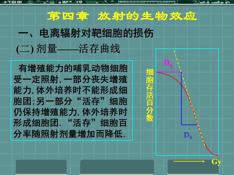 放射的生物效应电离辐射的生物效应.ppt_第3页