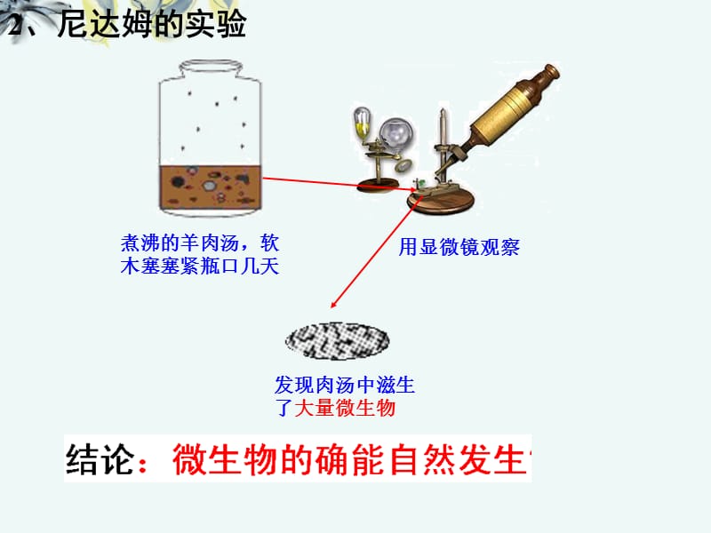 江苏省大丰市南阳中学高一生物《生物科学的学习过程》课件.ppt_第3页