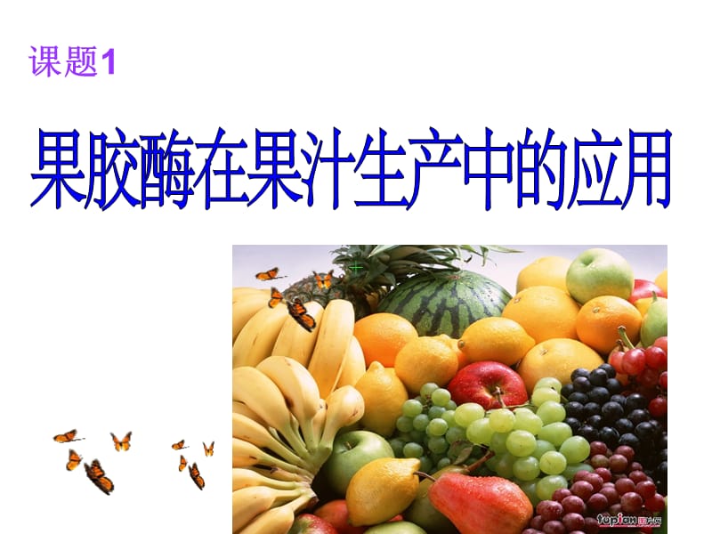 果胶酶在果胶生产中的运用.ppt_第1页