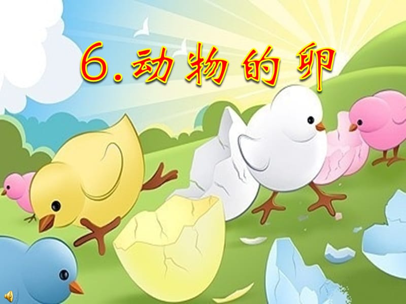 小學(xué)科學(xué)四年級下冊《動物的卵》課件.ppt_第1頁