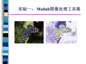 數(shù)字圖像處理Matlab圖像處理工具箱.ppt