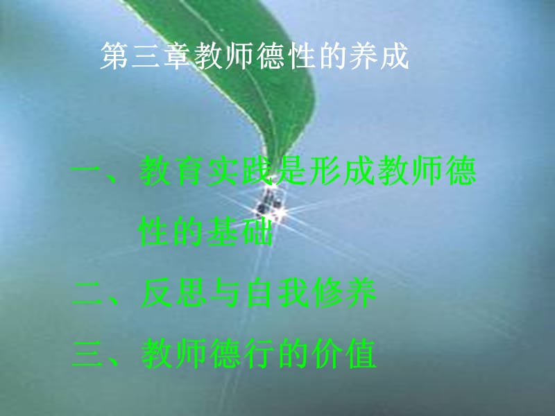 教师德性的核心构成.ppt_第2页