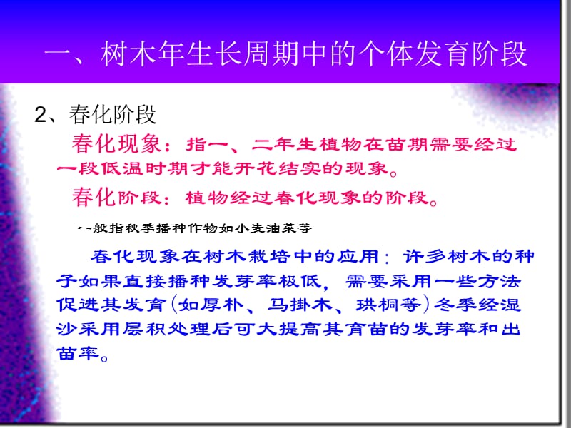 树木的年生长发育周期.ppt_第3页