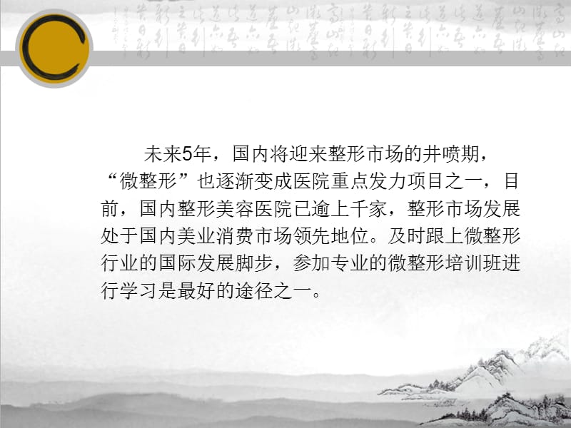 浅谈微整形为何如此火爆.ppt_第3页