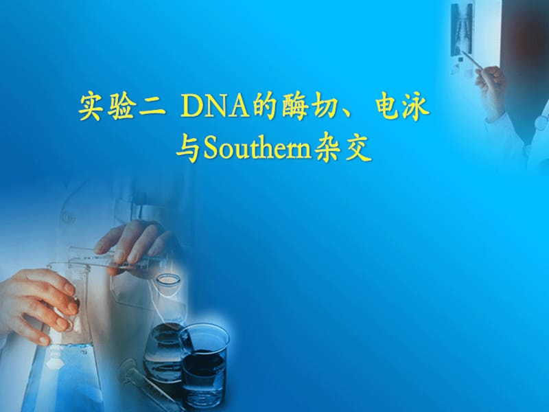 实验二DNA的酶切、电泳与Southern杂交.ppt_第1页