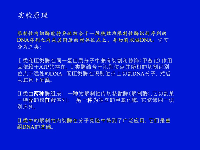 实验二DNA的酶切、电泳与Southern杂交.ppt_第3页