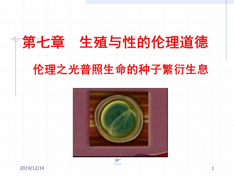 生殖与性的伦理道德.ppt_第1页