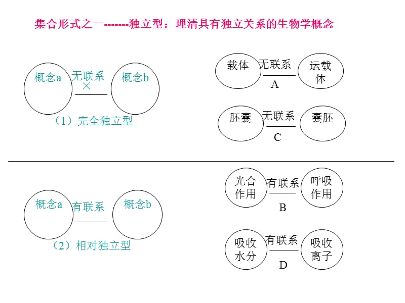 生物图表题-概念图.ppt_第3页