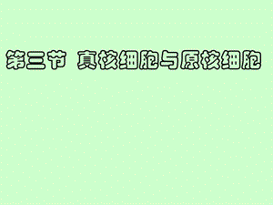 真核細胞與原核細胞.ppt