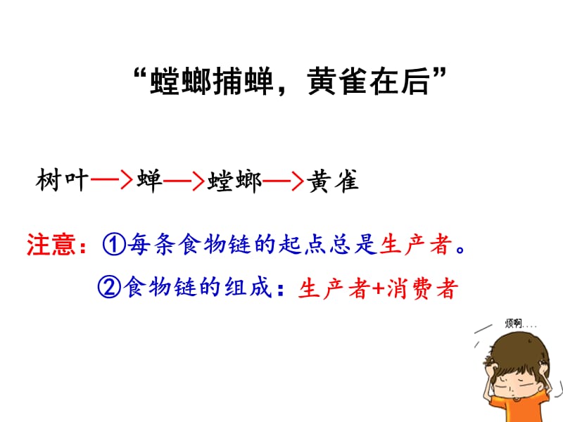 生态系统的结构第二课时.ppt_第1页