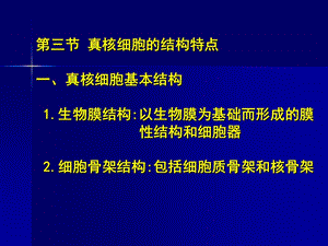 真核细胞的结构特点.ppt