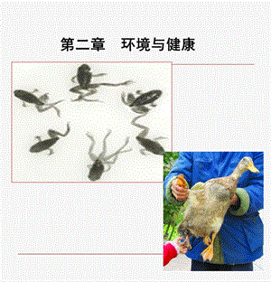 环境工程概论2-环境与健康.ppt