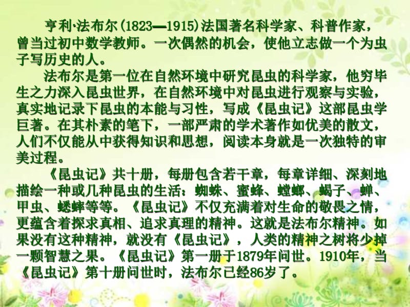 小学三年级上册语文第十四课蜜蜂PPT课件.ppt_第3页