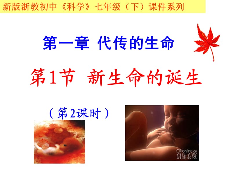 新生命的誕生第二課時(shí).ppt_第1頁(yè)