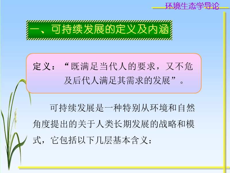 湖南大学环境生态学导论第十二章可持续发展概论.ppt_第2页