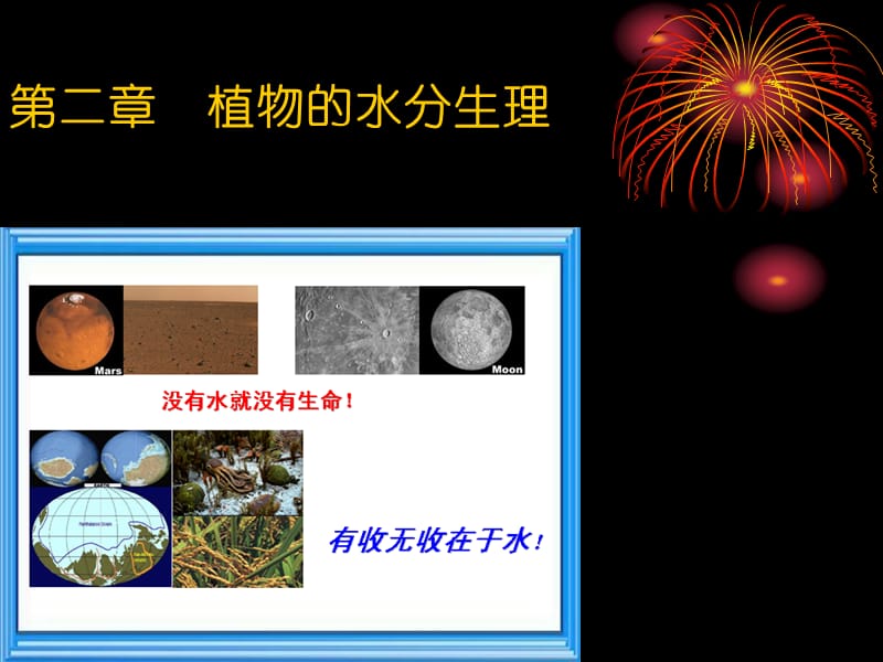 植物水分生理-陈智忠.ppt_第1页