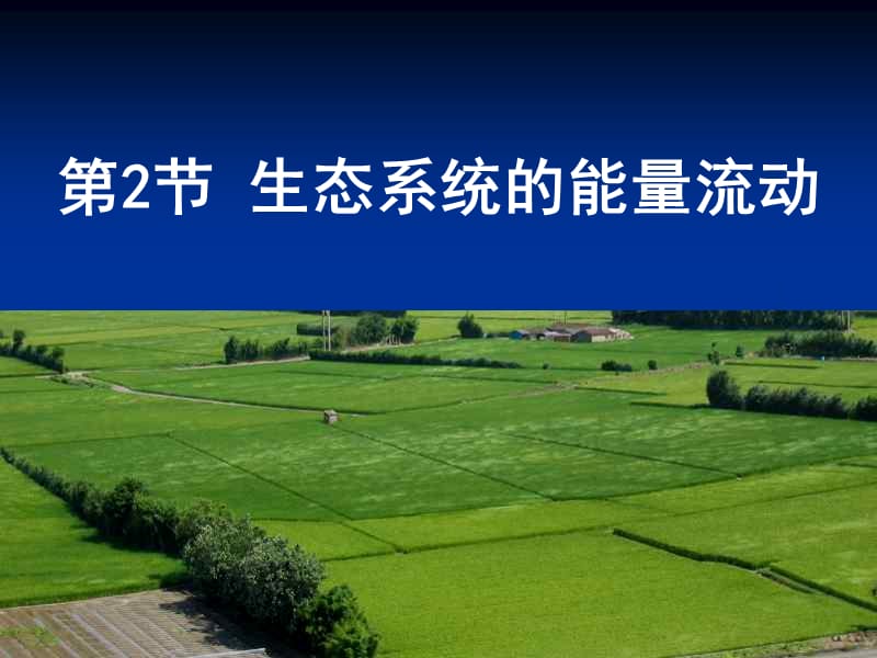 生态系统的能量流动(第二课时).ppt_第1页